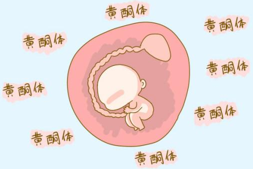 微信图片_20240125150434.png